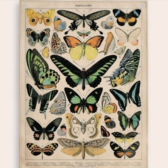 Pillow Case/Cushion Cover & Wall tapestry Botanical SET Butterflies Monarch Boho - Picture 4 of 16